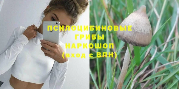 МДПВ Белокуриха