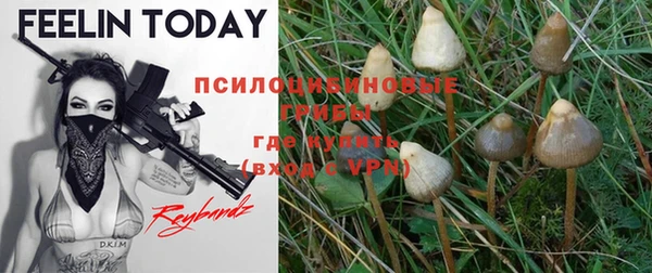 МДПВ Белокуриха