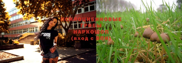 МДПВ Белокуриха