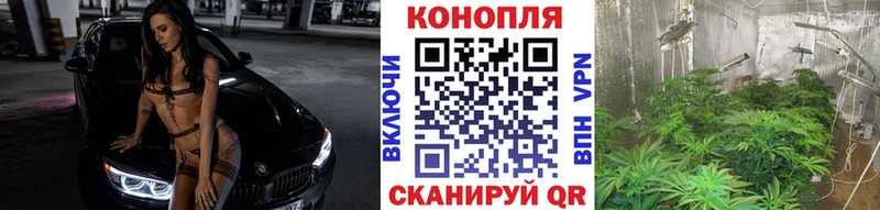 хочу наркоту  Ясногорск  Конопля Ganja 